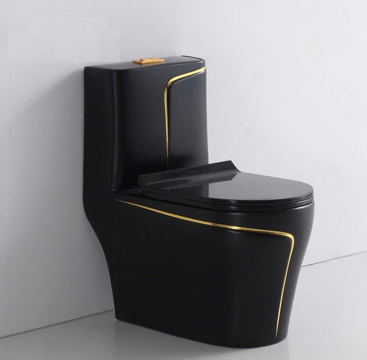 Bồn cầu Haduco 2001